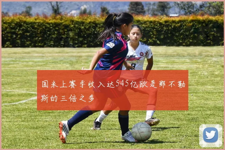 国米上赛季收入达545亿欧是那不勒斯的三倍之多