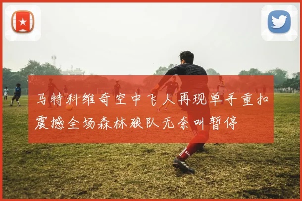 马特科维奇空中飞人再现单手重扣震撼全场森林狼队无奈叫暂停