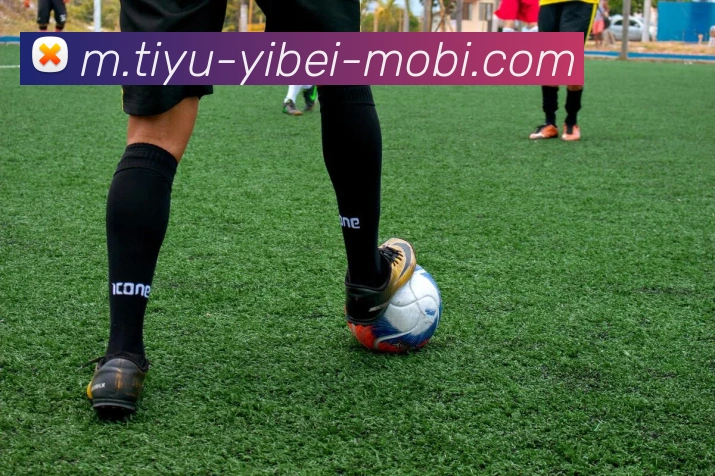 易倍体育服务体系